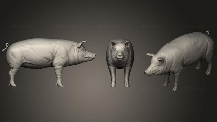 Animal figurines (Pig 01, STKJ_1272) 3D models for cnc